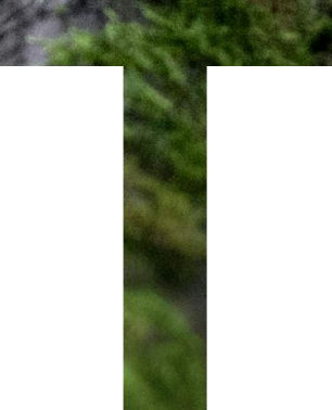 e2_img_06.png