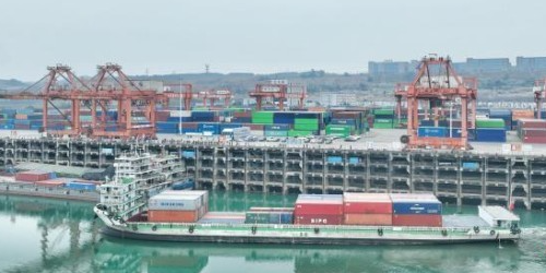 �����������������������׺�