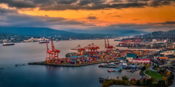 ��������������������������ӵ�£�