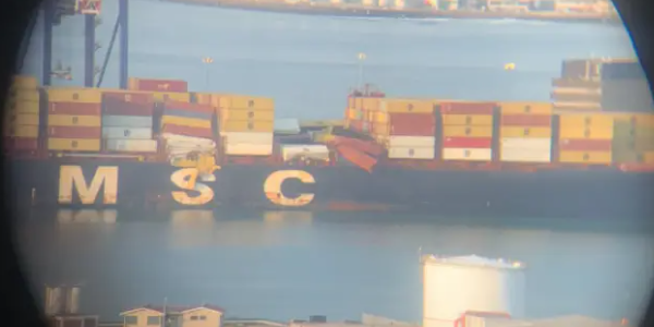 MSCһ��װ�䴬��������ɥʧ46����װ��