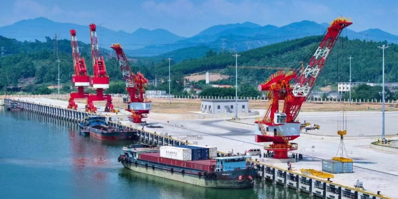 ����������������������ѡ��