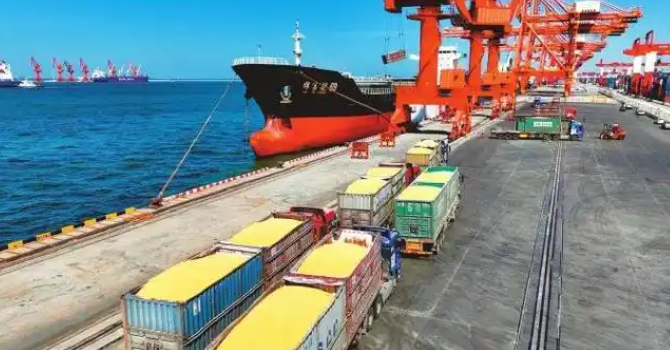 ����50%��ʳ����ת��װ�亣��